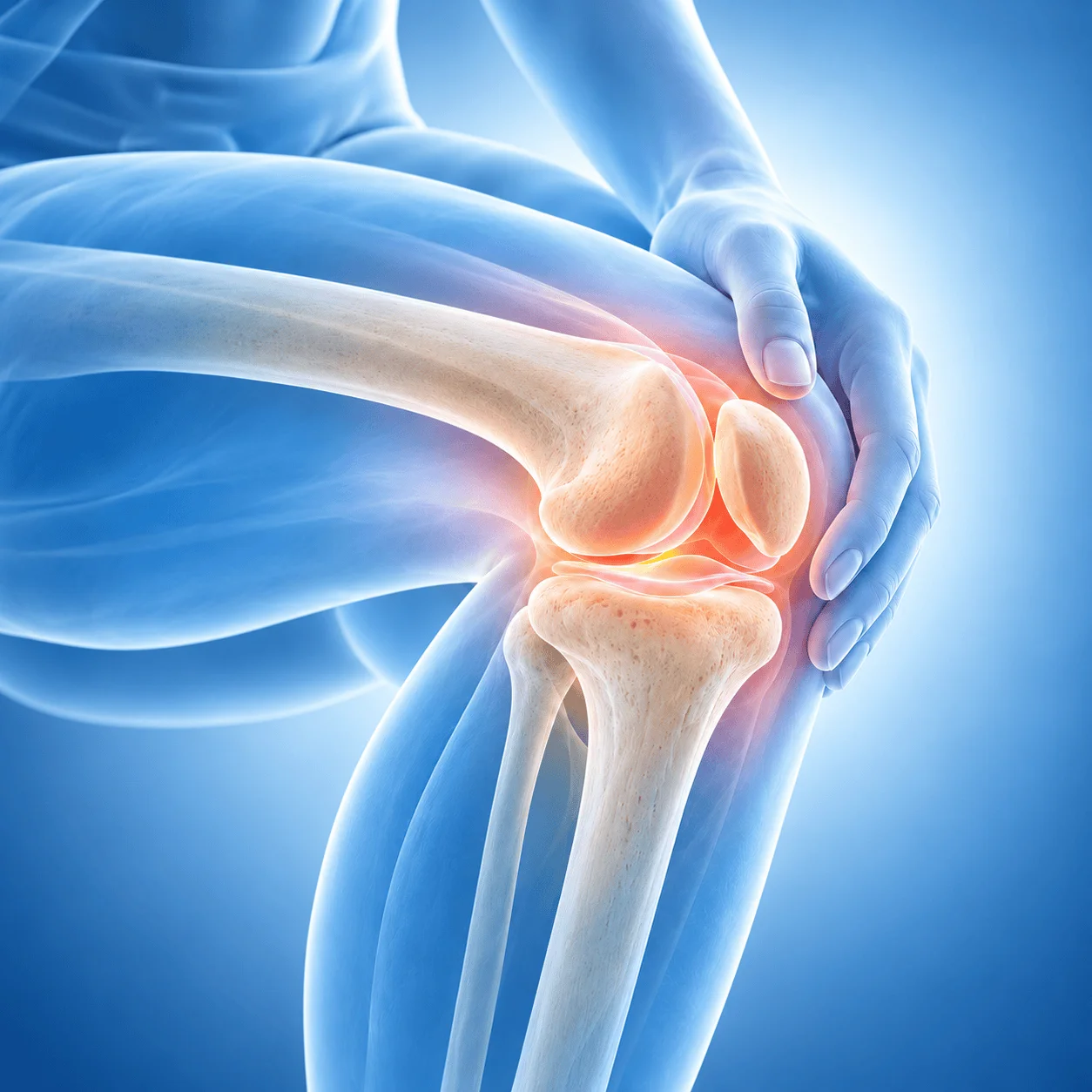 Bone Health Panel